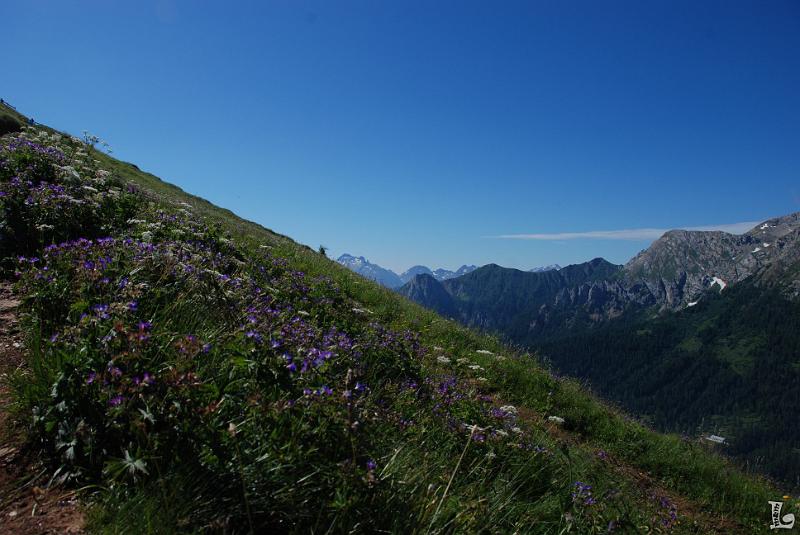 Federspiel-003.JPG