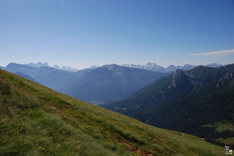 Federspiel-006.JPG