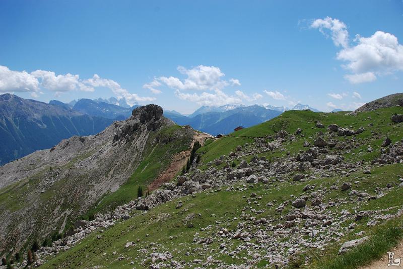Federspiel-056.JPG