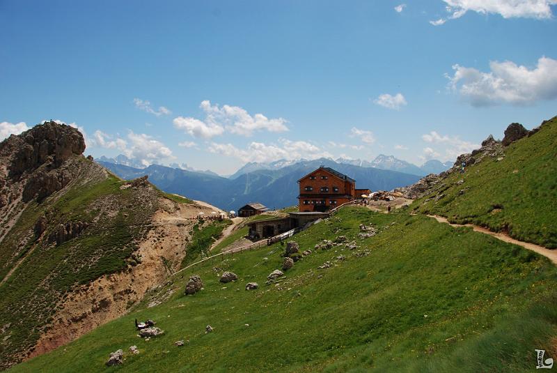 Federspiel-057.JPG