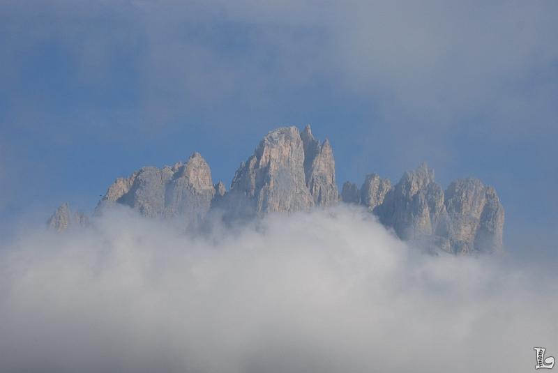 TorriVaiolet-001.JPG