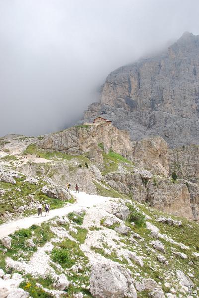 TorriVaiolet-020.JPG