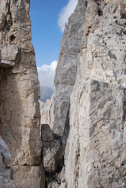 TorriVaiolet-085.JPG