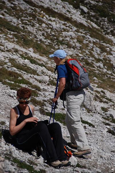 PaleDiSanMartino-034.JPG