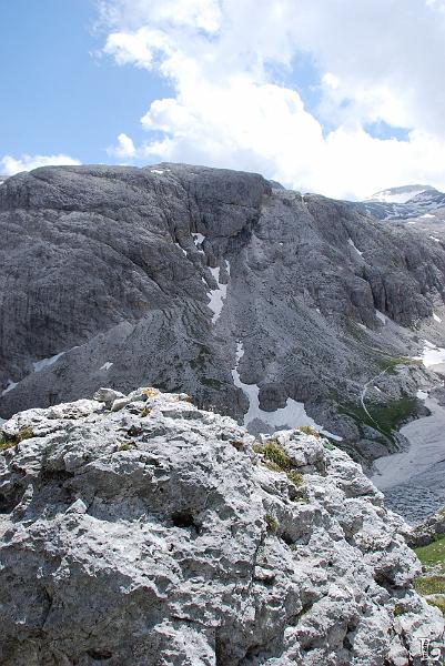 PaleDiSanMartino-069.JPG